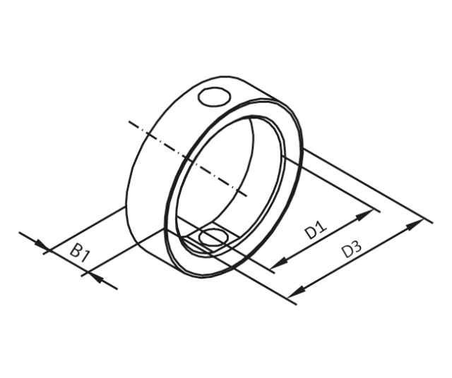 Dichtung Viton für Scheiben- ventil DN 50